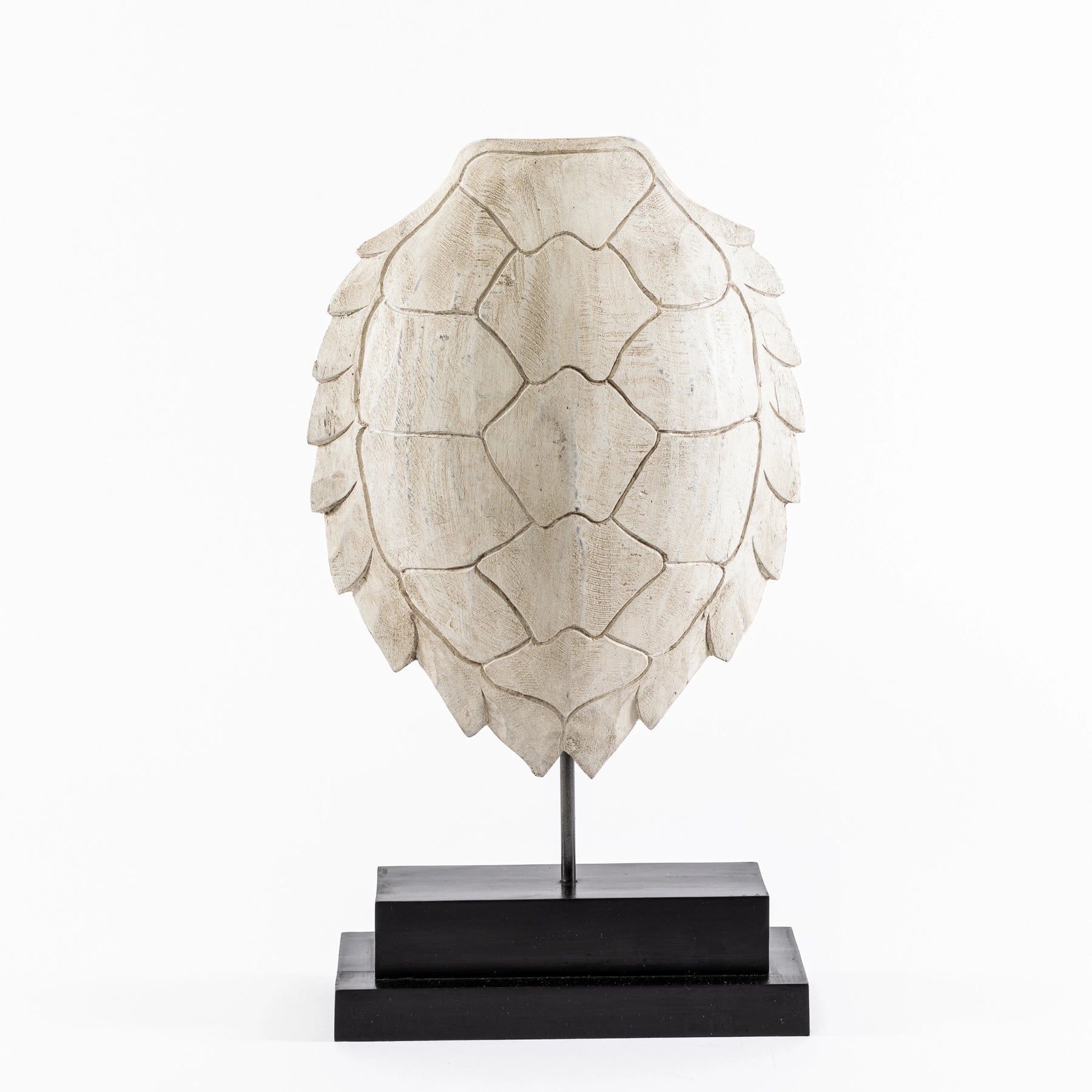 Decorative Turtle Shell by Toni Bond