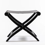 Luxurious Folding Stool/ Luggage Rack by Toni Bond