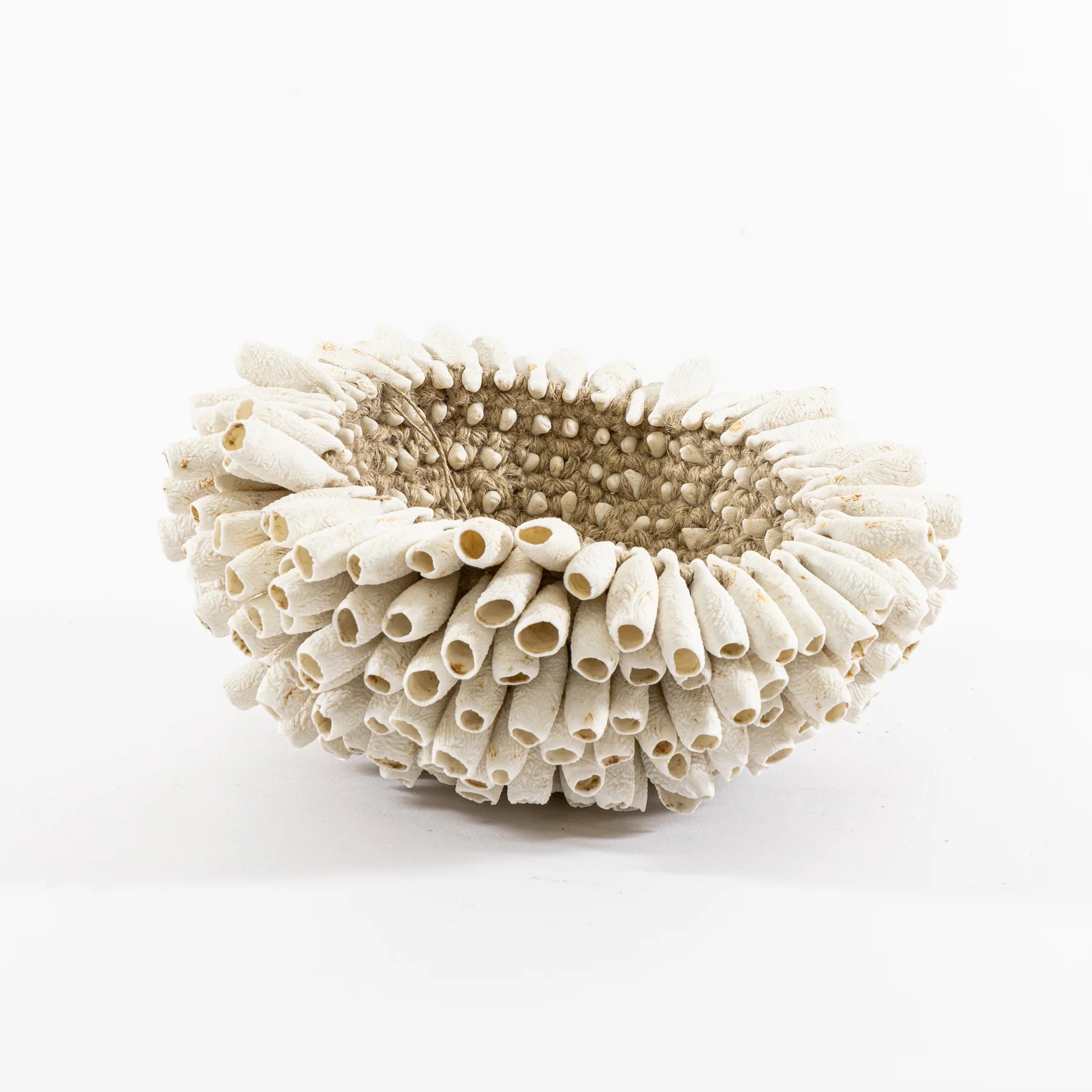 Luxurious Natural Ceramic Sculpture By Toni Bond
